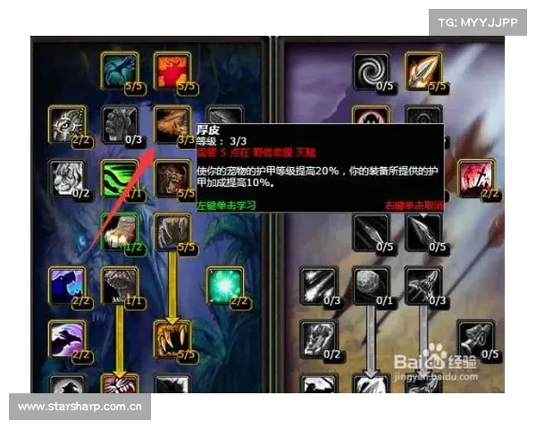 魔兽世界猎人光环技能修炼视频教程 魔兽世界猎人光环技能修炼视频教程